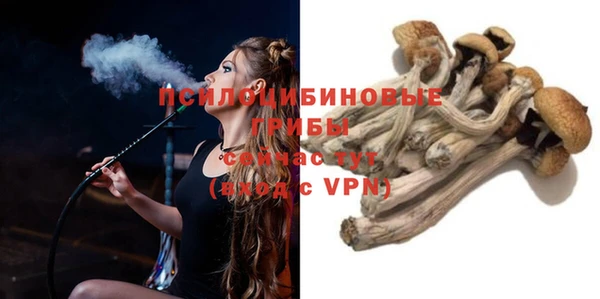 меф Арсеньев