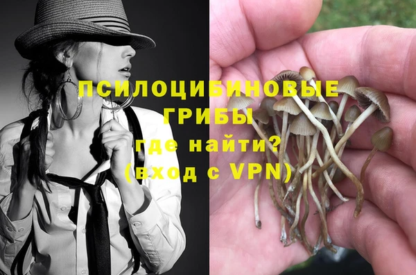 меф Арсеньев