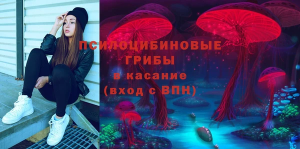 бошки Армянск