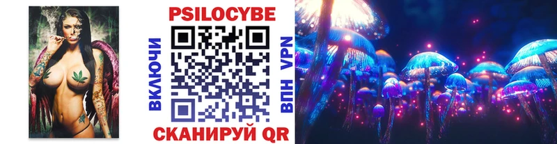 Купить закладки  Лесной  Псилоцибиновые грибы Magic Shrooms 